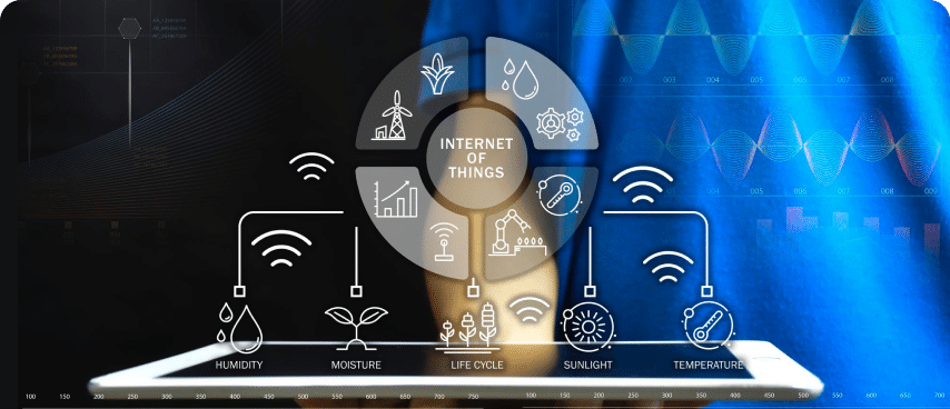 IoT for Web app Development