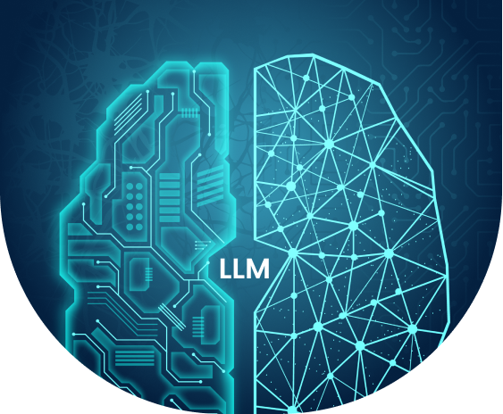 LLM Development Services